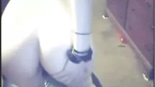 Jautrs Rudmatis ieteica ebony sēdēt uz gumijas gailis