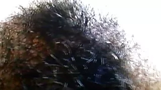 Puisis neveikli filmēja pirmo dziļo rīkli, ko veica pieticīga meitene